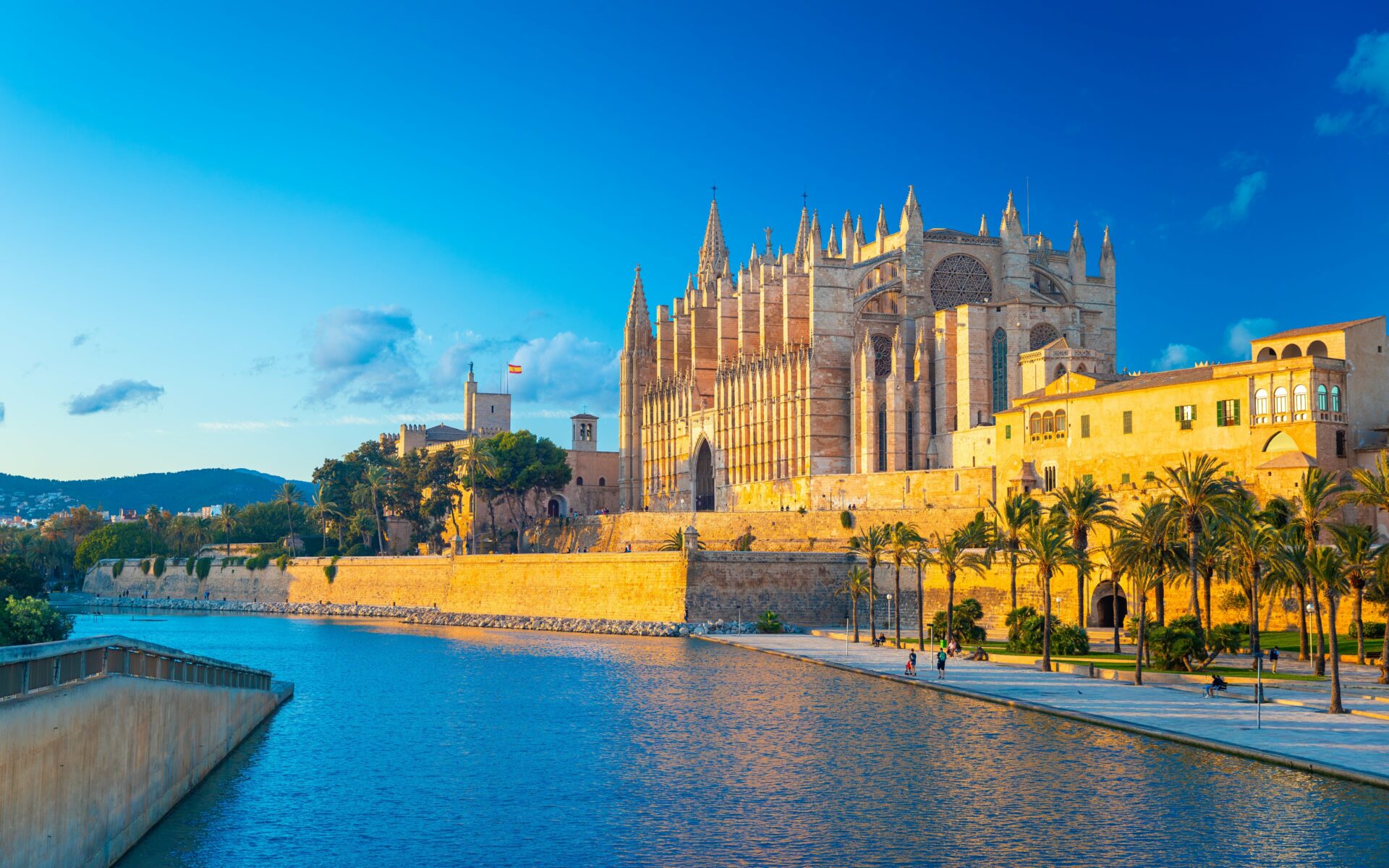 cathédrale palma de majorque