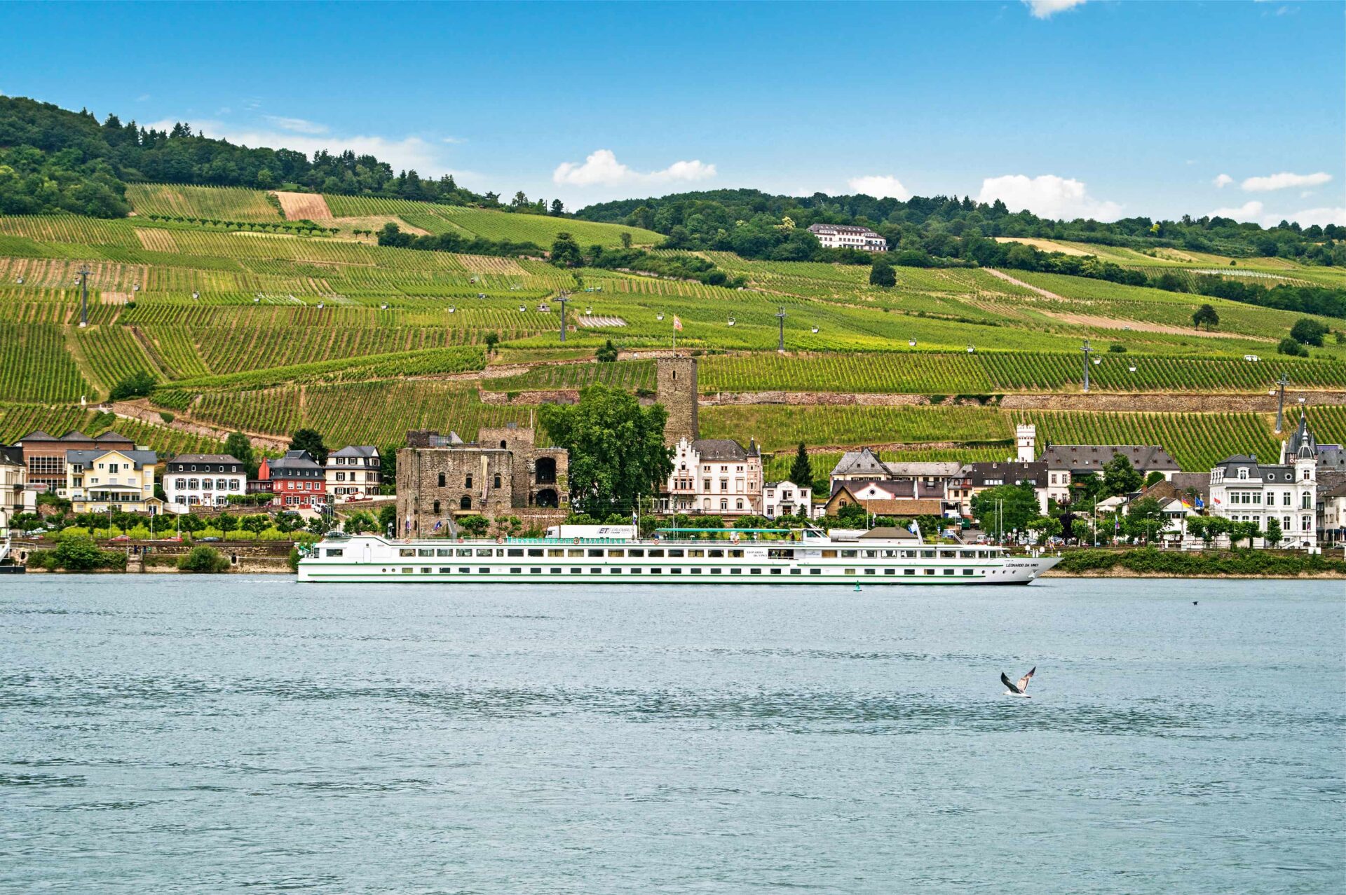 Croisi Europe - MS LEONARD DE VINCI